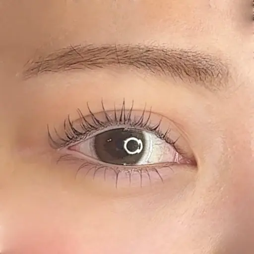 【上下】パリジェンヌラッシュリフト🌈アイシャンプー付き🫧