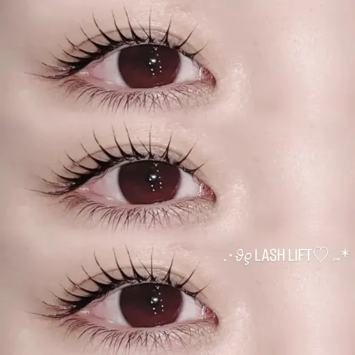 【セットクーポン】🌙まつ毛パーマ×アイブロウWAX🌙