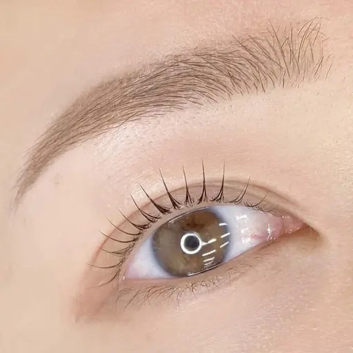 ご新規限定《黄金比(骨格診断)×似合わせ》WAX美眉スタイリング ¥4580