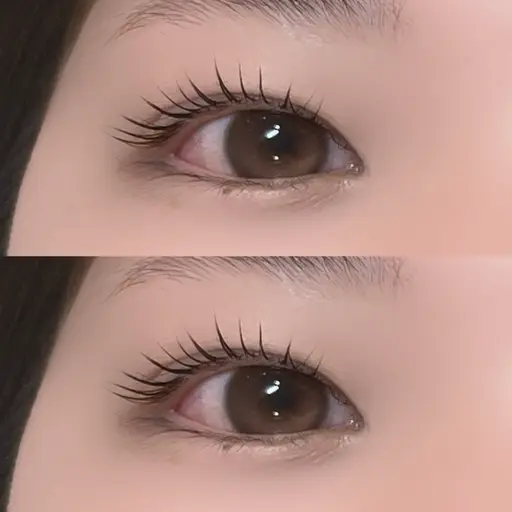 ❤️‍🩹上まつ毛パーマ+コーティング付き🐈‍⬛🐾