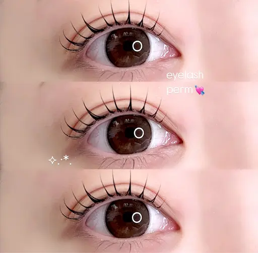 【✨️人気No.1✨️】まつげパーマ（モデル）