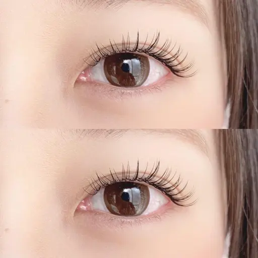 ⛩️浅草ROX店にて🏮【オフ無し】無料マツエクモデル(100本前後)⚠️詳細情報を必ず確認の上ご予約ください