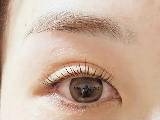 ✨✨まつ毛パーマ＋アイブロウワックス✨描きやすい眉と上品まつ毛