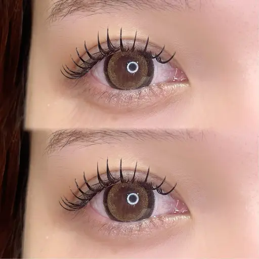 限定価格🐾バインドロック100束🐶🐾※詳細要確認