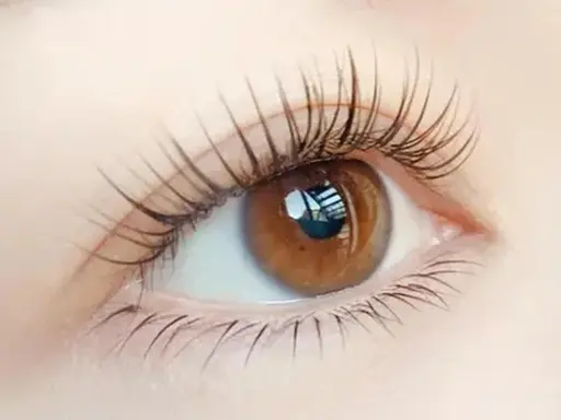 🤍【他店オフ・付け足し不可】🛁🪞【下まつ毛エクステ】30本