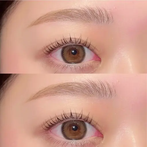 【パリジェンヌ or まつげパーマ】&【アイブロウ WAX】🫧眉クレンジング眉メイク付き