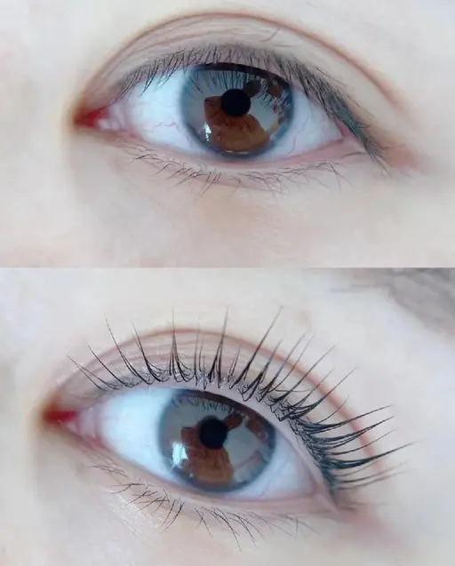 まつげパーマ上下セット/パリジェンヌ上下セット