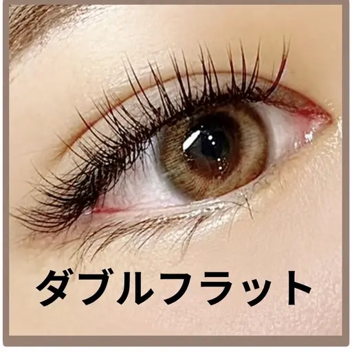 ダブルフラットラッシュ 80束