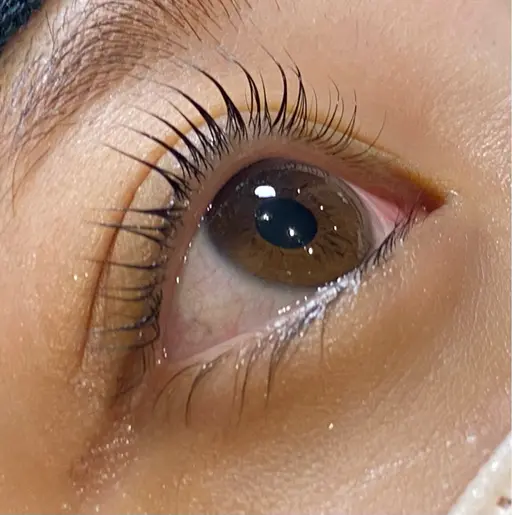 当日限定価格🎀ラッシュリフト🎀無料でアイシャンプー､トリートメント🫧美容液コーティング剤サービス