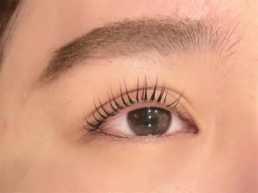⚠️オフなし🩵まつげパーマ（上のみ）🩵無料モデル⚠️注意事項を先にお読みください⚠️