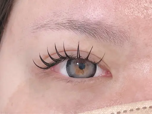 🌼フラットラッシュ100本🌼