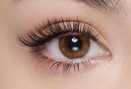 ✴️【LED】バインド(ダブルフラット)50束(100本程の濃さ)