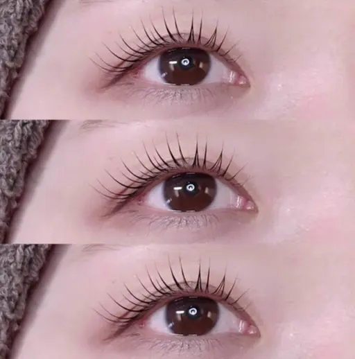 【20.21日限定】🎀まつげパーマモデル募集🎀まつげパーマorパリジェンヌラッシュリフト