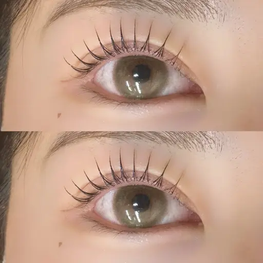 🎀バインド120束限定🎀