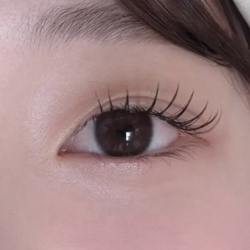 【4月限定】オフ有り🥀マツエク 160本まで✨️トリートメント・コーティング仕上げ🥀【飯田橋/神楽坂】