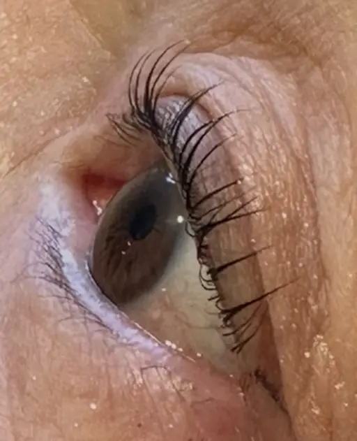 期間限定価格【エクランオリジナル】マスカラまつ毛パーマ復活祭　TR込¥4,980