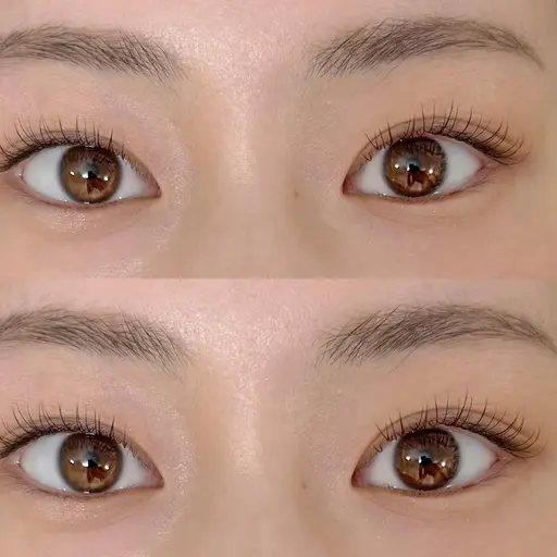 フラットラッシュ【60本】自まつ毛診断付き