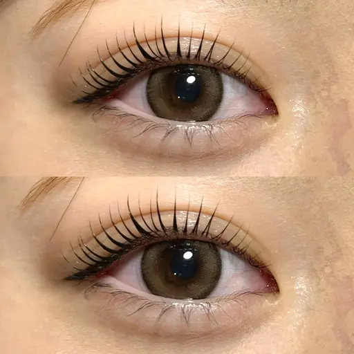 韓国風束感まつ毛パーマ上orパリジェンヌ上🩷美容成分入りコーティング剤付き✨