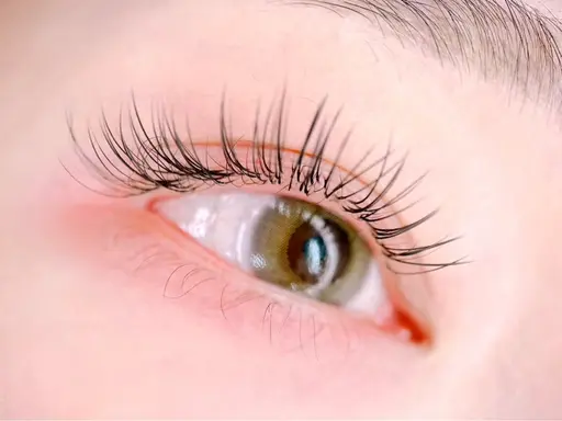 《セーブル80〜100本まで🎀》