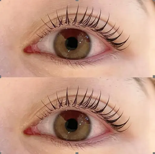 京橋駅徒歩4分👣エクステオフなし【まつ毛パーマ】モデル様募集中🐰💖