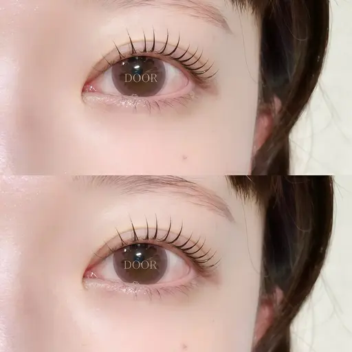 *⋆⸜ 当日予約限定menu  ⸝⋆*‬ラッシュアディクト本品付き📍まつ毛パーマorパリジェンヌ🎀