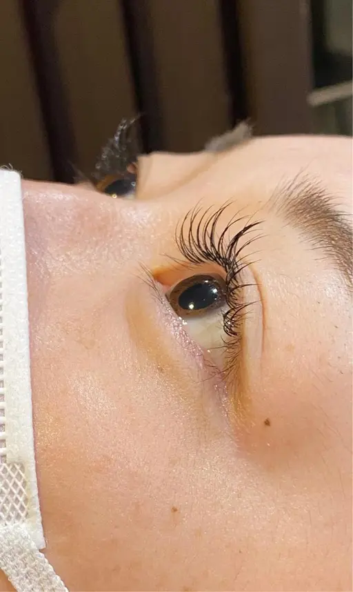 【🌵マツエク🌵】高級ミンク上120本までつけ放題オフ・コーティング付き🫧