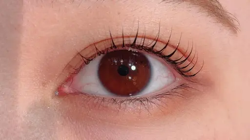 🫧ミニモ限定価格🫧まつげパーマ