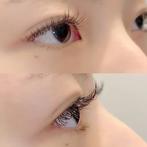 【お試し】フラットラッシュ​〜​100本(オフ無料、コーティング付)