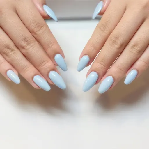 27日限定‼️ワンカラー🦭