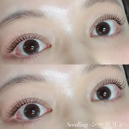 まつげパーマ　モデル