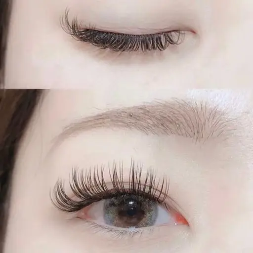 フラットラッシュ120本🌼