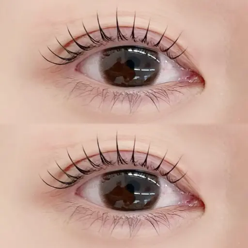 【ご新規様】🕊️次世代まつげパーマ