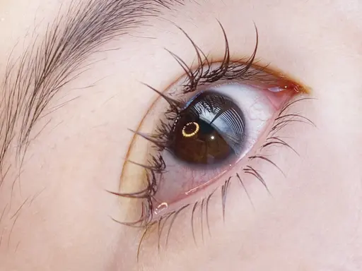 【新規】平日限定⭐️フラットラッシュ140本まで(＋1100円でカラー可)