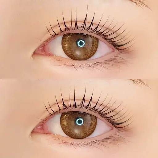 パリジェンヌ/ ※ プレミアムトリートメント付き⭐️