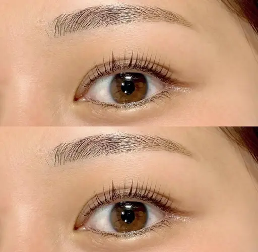 【人気のセット🎀】眉毛wax＆パリジェンヌ・まつ毛パーマ