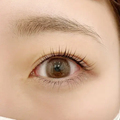 【下まつ毛パーマ👀無料モデル🌱】ダメージレス新リフト剤4Dflowまつ毛に優しいパーマ✨️