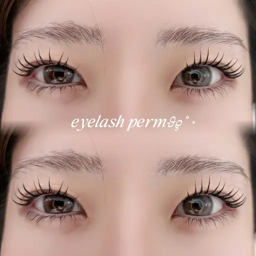 【無料モデル募集】まつげパーマ￥0 ※オフ不可※