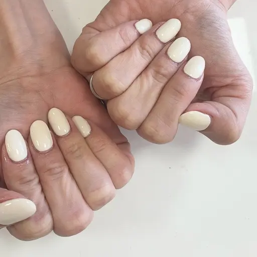 ワンカラー(オフなし)