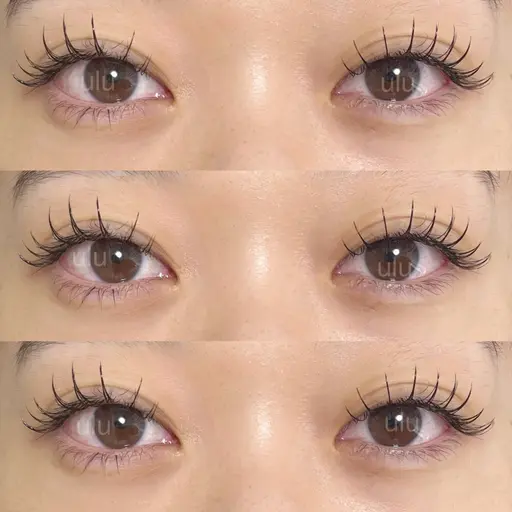 《☔️クーポン》🌷フラットラッシュ  140本🌷 オフ込み