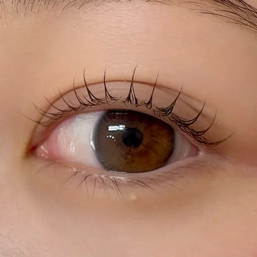 《口コミ限定》💜似合わせデザインまつげパーマ上💜