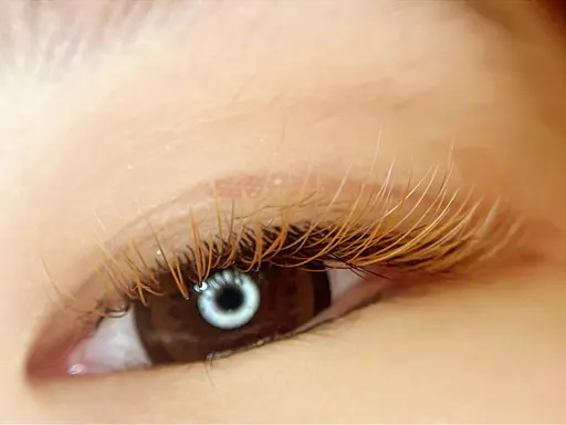 激レアクーポン🥰3月26日限定🌸💓90分つけ放題カラーフラットラッシュ🩷☘️🎀