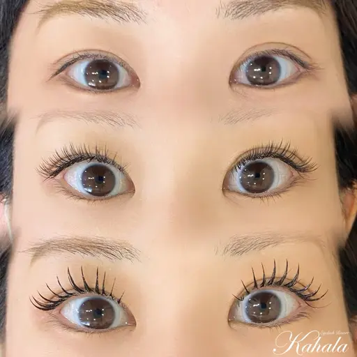 アンドヘルシー💗(マツエク120本まで×マツパ)