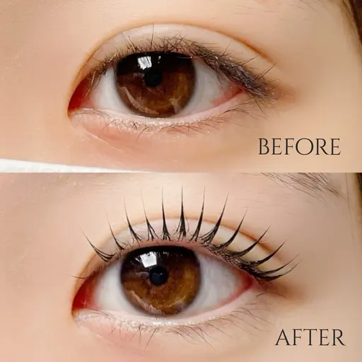 【２０日限定🔆】【ご新規様のみ】大人気パリジェンヌラッシュリフトorマツパ🤍トリートメント&コーティング付き🫧