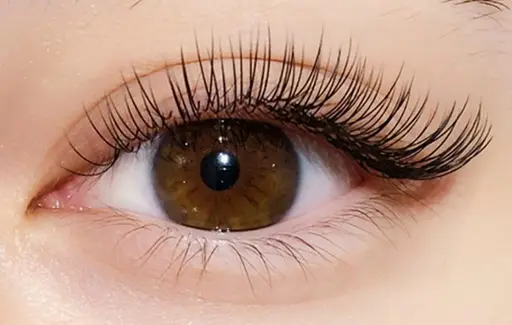 【人気No.1】バインドロックorダブルフラットラッシュ1Hつけ放題★他店付足OK¥6980