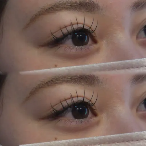 【モデルさん募集】フラットラッシュ 60本