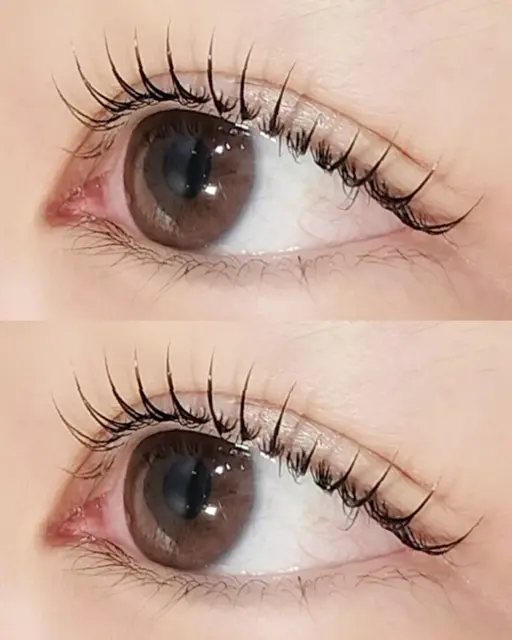 【当日限定】まつ毛パーマ/パリジェンヌ(アイシャンプー付き♪)