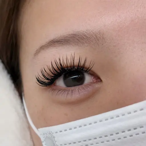 💎割引あり✨バインドロック80束（新規オフ込）モチ抜群！