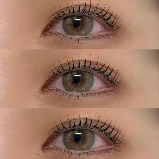 【練習モデル】4月🍊上まつ毛パーマor上パリジェンヌ🍊補足説明必ずお読み下さい🙇♀️