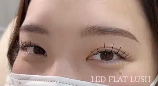 5月限定クーポン🎀高維持☆LEDフラットラッシュ100本