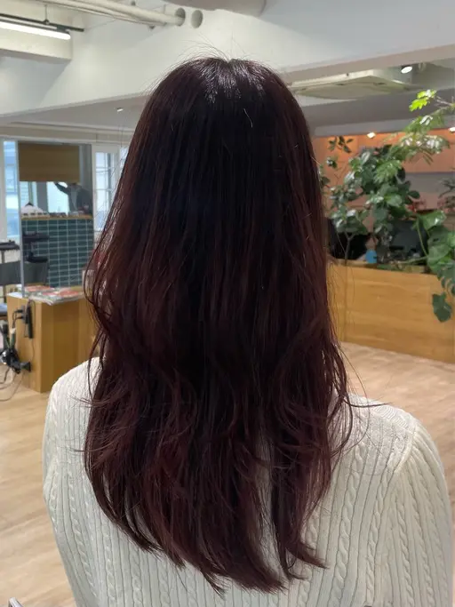 【女性限定🐿】カット+ブリーチなし高発色カラー+Aujua 2stepトリートメント🦊